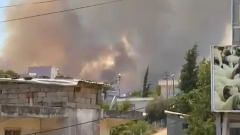 Adana'da Korkutan Orman Yangını! Alevler Yükseliyor