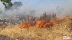Altındağ'da otluk alanda çıkan yangına itfaiye müdahale etti