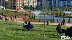 Ankara'da yakın zamanın akımı haline geldi: Her yeşil alanda ondan görebilirsiniz