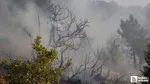 Beypazarı'nda yıldırım düşen ormanlık alanda korkutan yangın!