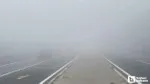 Bolu Dağı'nda Sis Alarmı! D-100'de Görüş Mesafesi Sıfıra Yakın!