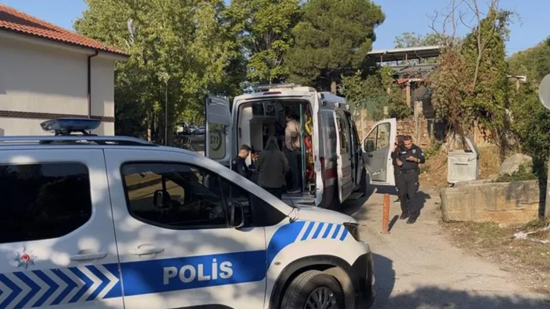 Bursa'da Kestane Savaşı! Uludağ'da Silahlar Konuştu: 3 Yaralı