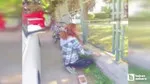 Çankaya'da yavru kediyi kurtarmak için seferber oldular