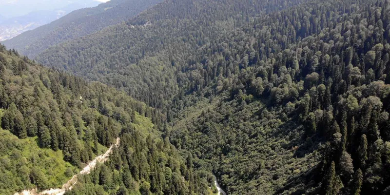 Muhafaza Ormanları Madene Mi Açılıyor? Çığ Felaketi Kapıda Mı?