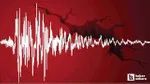 Ege Sallandı! Bodrum, İzmir, Aydın'da Deprem Paniği! Son Dakika