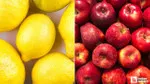Elma, limon ve tatlı limonun ihracının kayda bağlandığı açıklandı