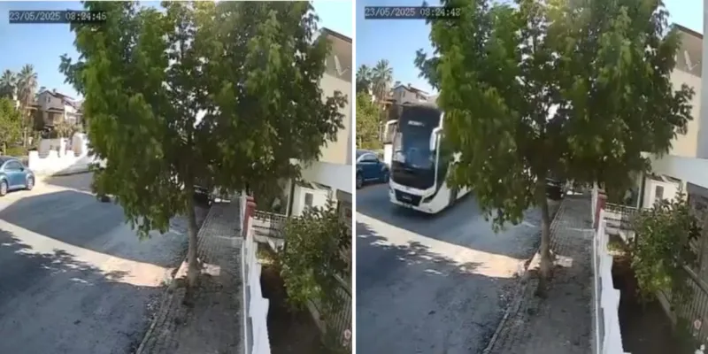 Vicdansız Sürücü! Köpeği Ezdi Geçti: Kuşadası'nda İnanılmaz Olay!