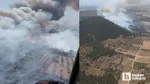 Foça'da Korkutan Yangın! Alevler Neden Bu Kadar Hızlı Yayılıyor?