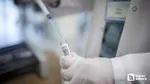 Kuduz Alarmı! Yılda 59 Bin Can Kaybı, İşte Korkunç Gerçek