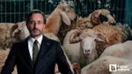 Kurban Bayramı Tatili Uzadı Mı? İşte Fahrettin Altun'dan Son Dakika Açıklama!