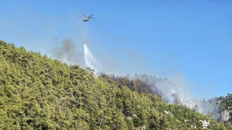 Muğla'da orman yangını: Belediyede tüm izinler iptal edildi