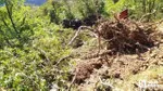 Nallıhan'da itfaiye aracı ormanlık alanda uçurumdan yuvarlandı