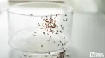 Karıncalara Veda! Sirke ile Evden Karınca Kovma Yöntemi Şaşırtıyor