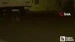 Aç Kurtlar Ankara'da Şehir Merkezine İndi! Şoke Eden Görüntüler!