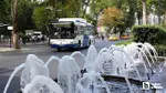EGO'nun Sırrı Çözüldü! Ankara Otobüsleri Neden EGO?
