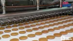 Bisküvi Fabrikaları Personel Alımı: Sınavsız ve Mülakatsız!