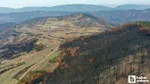 Bolu'da Yeşilin Dirilişi! 5 Milyon Ağaçla Yeni Orman