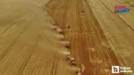Türkiye'de Tarım Sayımı! Cumhurbaşkanı Kararı ile Neler Değişecek?