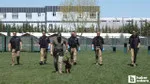 Gümrükte Sessiz Kahramanlar! Köpekler Kaçakçıları Nasıl Yakalıyor?