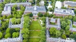 Harvard'dan Şok Karar! 250 Milyon Dolar Nereye Gidiyor?