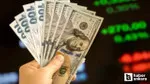 ING Bank'tan Şok Dolar Kuru Tahmini! 2025'te Ne Olacak?