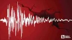 Kahramanmaraş Göksun Sallandı! AFAD'dan Son Dakika Deprem Açıklaması!