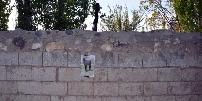 Van'da Kayıp At Alarmı! Sahibi "Yağız"ı Bulmak İçin Afiş Bastı
