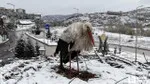 Ankara'da Leylek Şoku! Kar Sürprizi Hayatlarını Tehdit Ediyor Mu?
