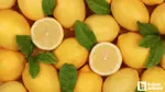 Limon İhracatı Şoku! Bakanlık İhracatı Neden Durdurdu?