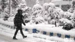 Üniversiteler Valiliğe Mi Bağlı? İşte Merak Edilen Soru Cevabı!