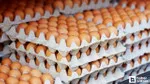 Yumurta Fiyatları Uçuşta! Uzmanlar Şoke Eden Sebebi Açıkladı!