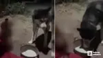 Polatlı'da köpeğe alkol içiren kişi hakkında adli işlem başlatıldı