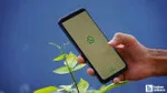 WhatsApp çöktü mü, ne zaman düzelir? Son dakika WhatsApp'a ne oldu