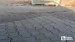 Yenimahalle Karşıyaka Mezarlığı'nda gezen yılanlar kamerada!